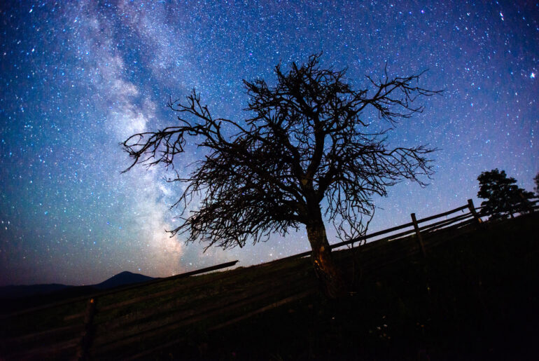 Jak fotografować gwiazdy? Przewodnik po astrofotografii